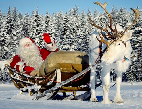 Enchanted 1 Day Trip